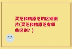 灵芝和精原芝的区别图片(灵芝和精原芝有哪些区别？)