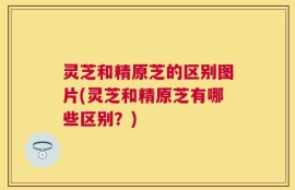 灵芝和精原芝的区别图片(灵芝和精原芝有哪些区别？)