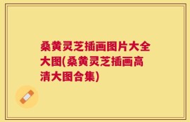 桑黄灵芝插画图片大全大图(桑黄灵芝插画高清大图合集)
