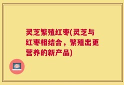 灵芝繁殖红枣(灵芝与红枣相结合，繁殖出更营养的新产品)