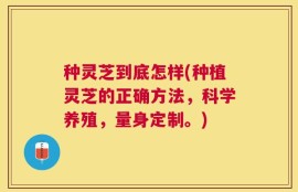 种灵芝到底怎样(种植灵芝的正确方法，科学养殖，量身定制。)