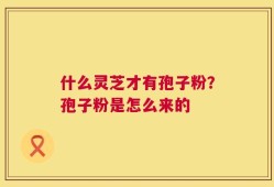 什么灵芝才有孢子粉？孢子粉是怎么来的