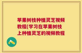 苹果树枝种植灵芝视频教程(学习在苹果树枝上种植灵芝的视频教程
