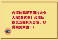台湾仙鹤灵芝图片大全大图(看这里！台湾仙鹤灵芝图片大合集，欣赏精美大图！)