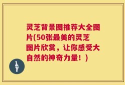 灵芝背景图推荐大全图片(50张最美的灵芝图片欣赏，让你感受大自然的神奇力量！)