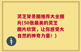 灵芝背景图推荐大全图片(50张最美的灵芝图片欣赏，让你感受大自然的神奇力量！)