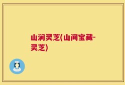 山涧灵芝(山间宝藏-灵芝)