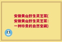 安徽黄山野生灵芝菜(安徽黄山野生灵芝菜：一种珍贵的自然宝藏)