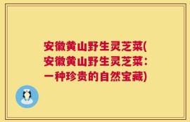 安徽黄山野生灵芝菜(安徽黄山野生灵芝菜：一种珍贵的自然宝藏)