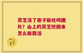 灵芝没了孢子能吃吗图片？山上的灵芝挖回来怎么能栽活