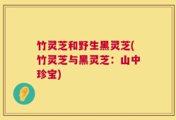 竹灵芝和野生黑灵芝(竹灵芝与黑灵芝：山中珍宝)