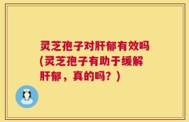 灵芝孢子对肝郁有效吗(灵芝孢子有助于缓解肝郁，真的吗？)
