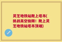 灵芝地铁站爬上塔吊(挑战高空极限！爬上灵芝地铁站塔吊顶端)