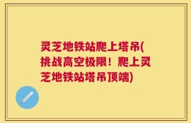 灵芝地铁站爬上塔吊(挑战高空极限！爬上灵芝地铁站塔吊顶端)