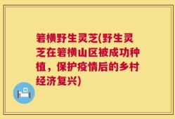 箬横野生灵芝(野生灵芝在箬横山区被成功种植，保护疫情后的乡村经济复兴)