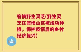 箬横野生灵芝(野生灵芝在箬横山区被成功种植，保护疫情后的乡村经济复兴)