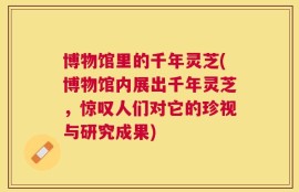 博物馆里的千年灵芝(博物馆内展出千年灵芝，惊叹人们对它的珍视与研究成果)