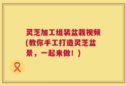 灵芝加工组装盆栽视频(教你手工打造灵芝盆景，一起来做！)