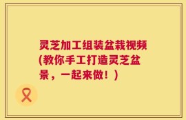 灵芝加工组装盆栽视频(教你手工打造灵芝盆景，一起来做！)