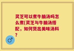 灵芝可以煮牛腩汤吗怎么煮(灵芝与牛腩汤搭配，如何煲出美味汤料？
