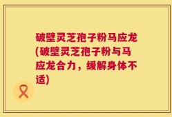 破壁灵芝孢子粉马应龙(破壁灵芝孢子粉与马应龙合力，缓解身体不适)