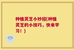 种植灵芝小妙招(种植灵芝的小技巧，快来学习！)