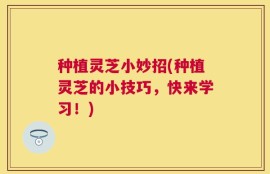 种植灵芝小妙招(种植灵芝的小技巧，快来学习！)