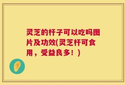 灵芝的杆子可以吃吗图片及功效(灵芝杆可食用，受益良多！)