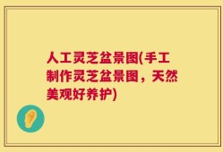 人工灵芝盆景图(手工制作灵芝盆景图，天然美观好养护)