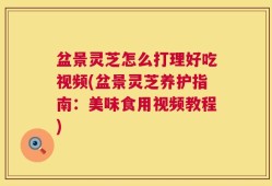 盆景灵芝怎么打理好吃视频(盆景灵芝养护指南：美味食用视频教程)