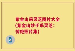 紫金山采灵芝图片大全(紫金山妙手采灵芝：惊艳照片集)