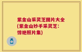 紫金山采灵芝图片大全(紫金山妙手采灵芝：惊艳照片集)