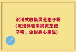 沉浸式收集灵芝孢子粉(沉浸体验采摘灵芝孢子粉，尘封身心重生)