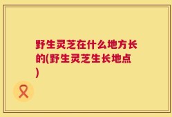 野生灵芝在什么地方长的(野生灵芝生长地点)