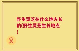 野生灵芝在什么地方长的(野生灵芝生长地点)