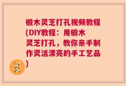 椴木灵芝打孔视频教程(DIY教程：用椴木灵芝打孔，教你亲手制作灵活漂亮的手工艺品)