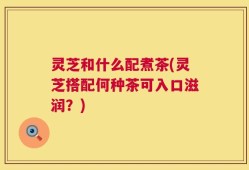 灵芝和什么配煮茶(灵芝搭配何种茶可入口滋润？)