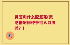 灵芝和什么配煮茶(灵芝搭配何种茶可入口滋润？)