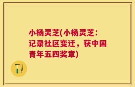 小杨灵芝(小杨灵芝：记录社区变迁，获中国青年五四奖章)