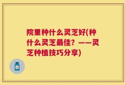 院里种什么灵芝好(种什么灵芝最佳？——灵芝种植技巧分享)
