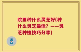 院里种什么灵芝好(种什么灵芝最佳？——灵芝种植技巧分享)