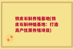 铁皮石斛养殖基地(铁皮石斛种植基地：打造高产优质养殖项目)