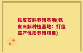 铁皮石斛养殖基地(铁皮石斛种植基地：打造高产优质养殖项目)