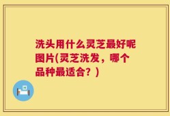洗头用什么灵芝最好呢图片(灵芝洗发，哪个品种最适合？)