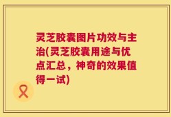灵芝胶囊图片功效与主治(灵芝胶囊用途与优点汇总，神奇的效果值得一试)