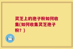 灵芝上的孢子粉如何收集(如何收集灵芝孢子粉？)