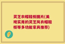灵芝衣帽鞋柜图片(美观实用的灵芝风衣帽鞋柜等多功能家具推荐)