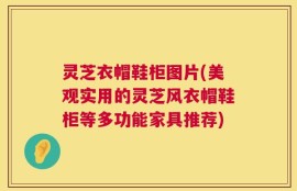 灵芝衣帽鞋柜图片(美观实用的灵芝风衣帽鞋柜等多功能家具推荐)