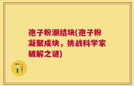 孢子粉潮结块(孢子粉凝聚成块，挑战科学家破解之谜)