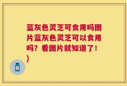 蓝灰色灵芝可食用吗图片蓝灰色灵芝可以食用吗？看图片就知道了！)